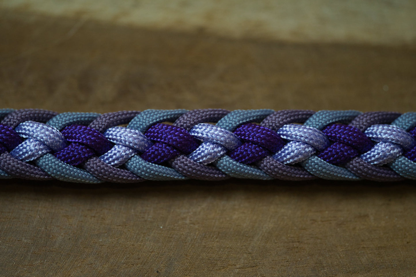 Paracord Leine special-edition