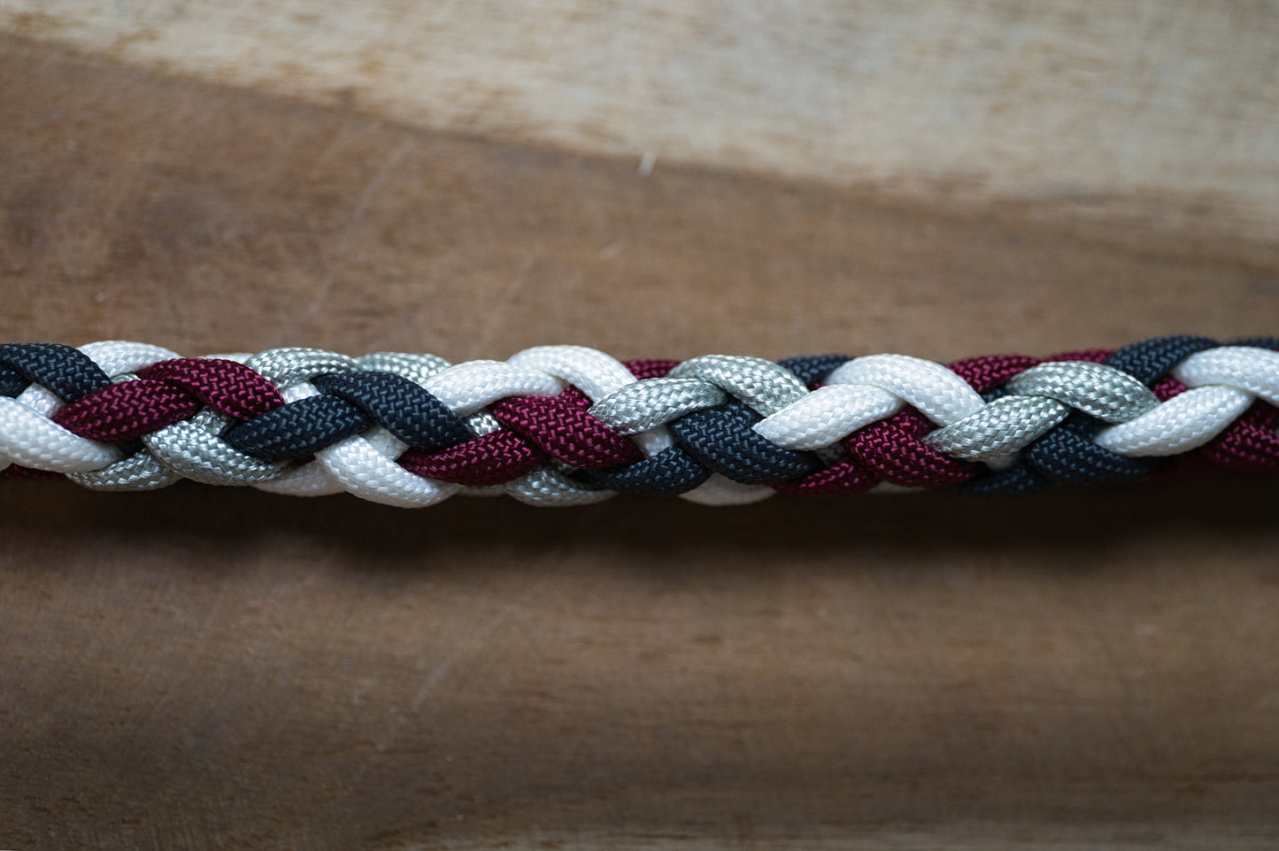 Paracord Leine special-edition