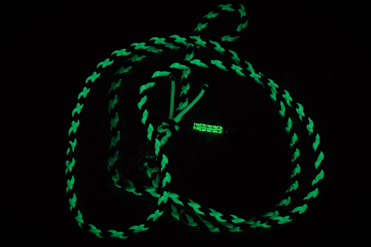 Paracord Leine special-edition